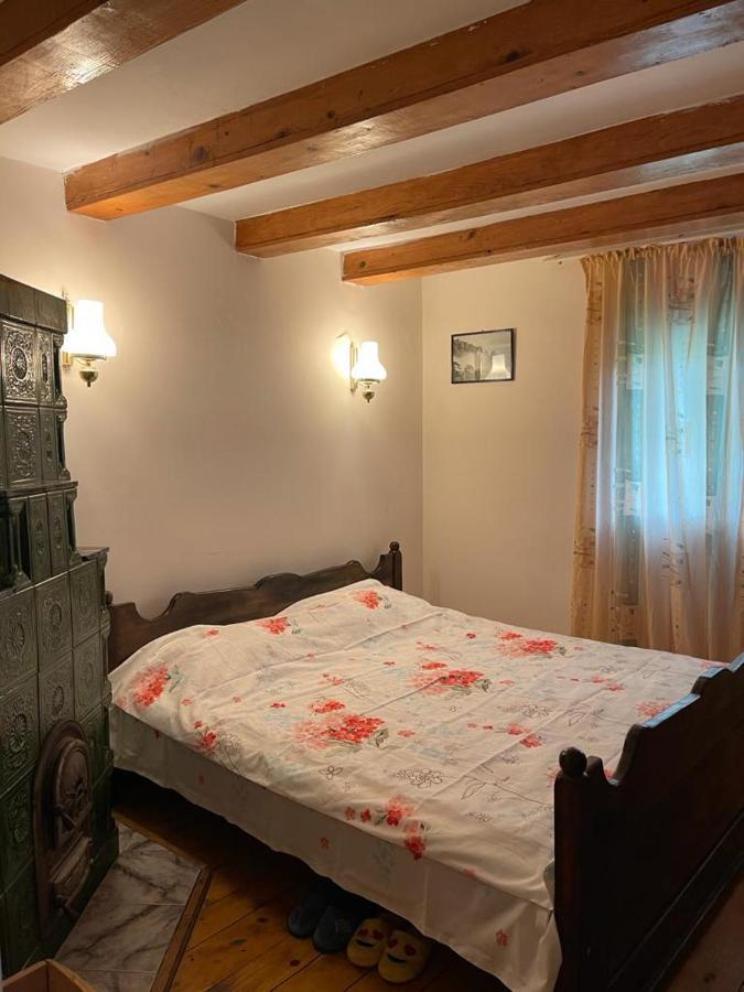 Valea Lunga-Cricov Casa Adelina 빌라 외부 사진