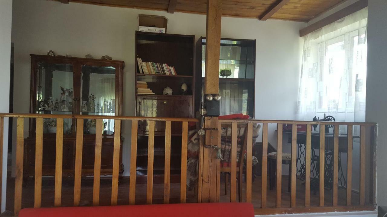 Valea Lunga-Cricov Casa Adelina 빌라 외부 사진