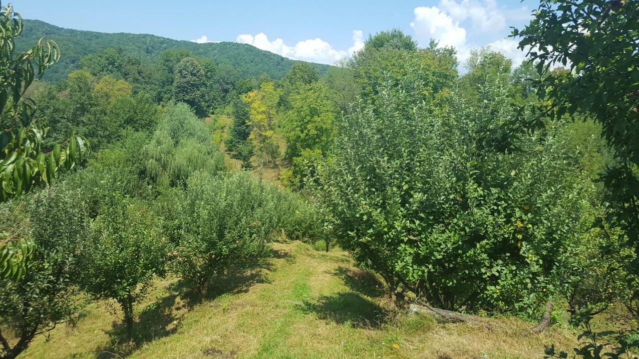 Valea Lunga-Cricov Casa Adelina 빌라 외부 사진