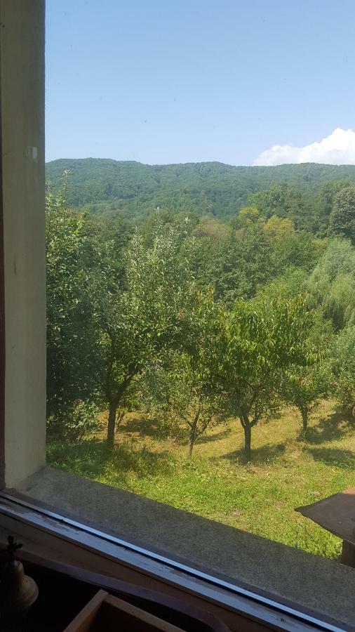 Valea Lunga-Cricov Casa Adelina 빌라 외부 사진